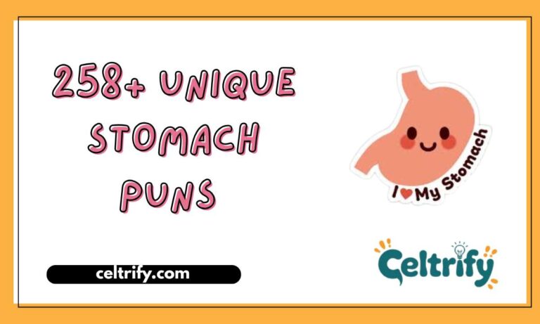 258+ Unique Stomach Puns