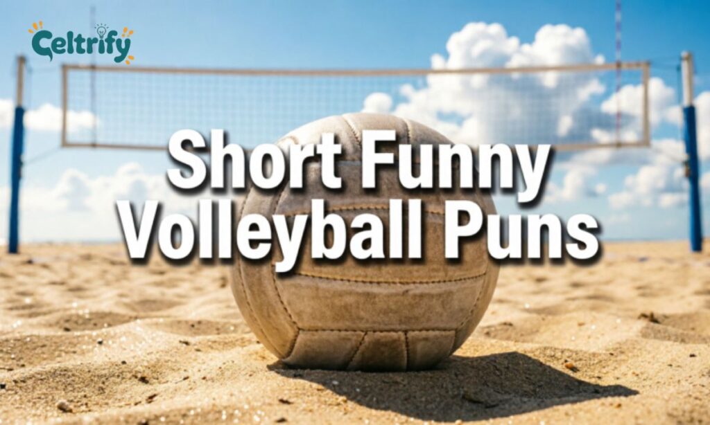 Short Funny Volleyball Puns