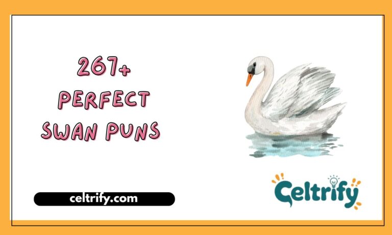 267+ Perfect Swan Puns That Will Have You Flapping with Laughter