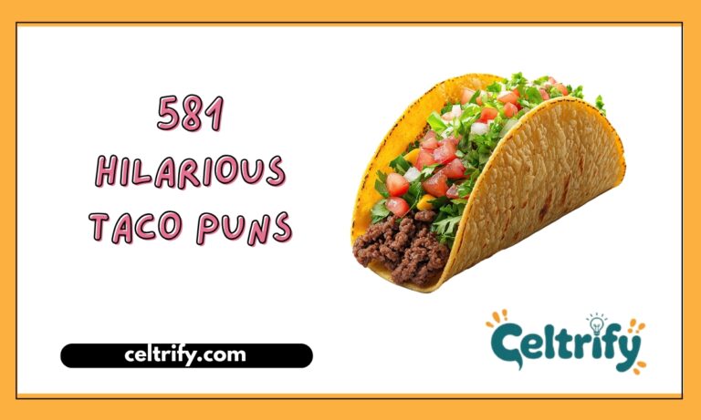 581 Hilarious Taco Puns
