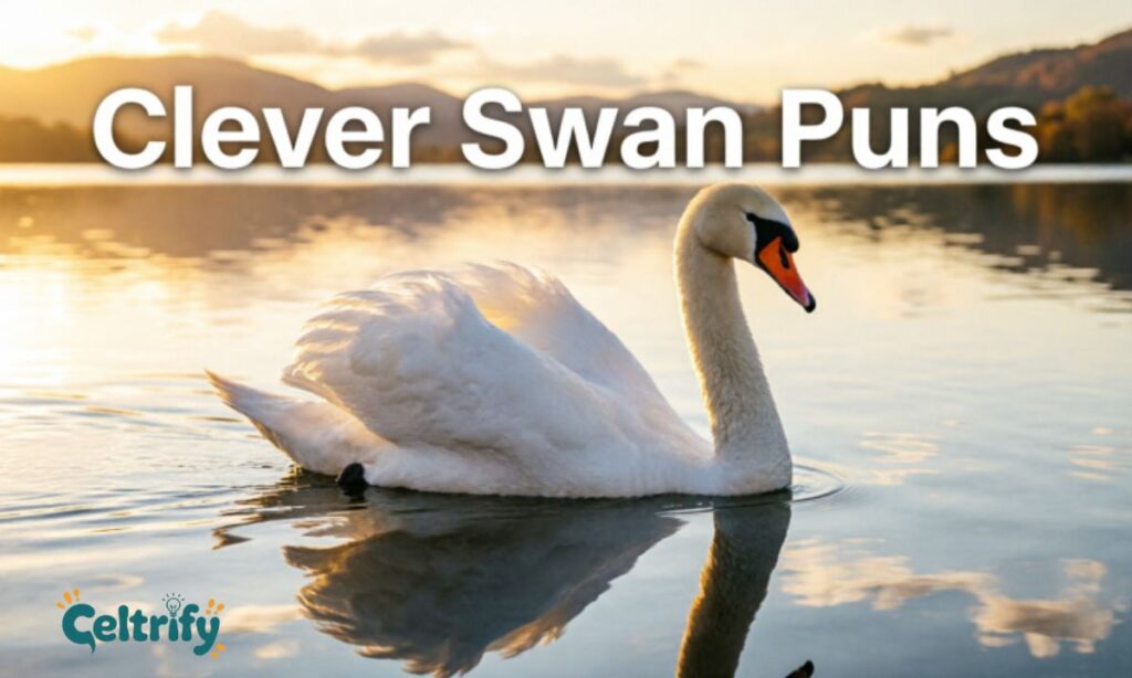 Clever Swan Puns