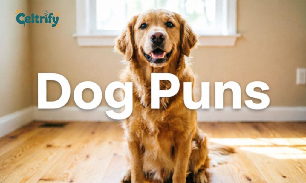 Dog puns one word