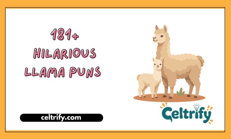 181+ Hilarious Llama Puns That'll Leave You Laughing