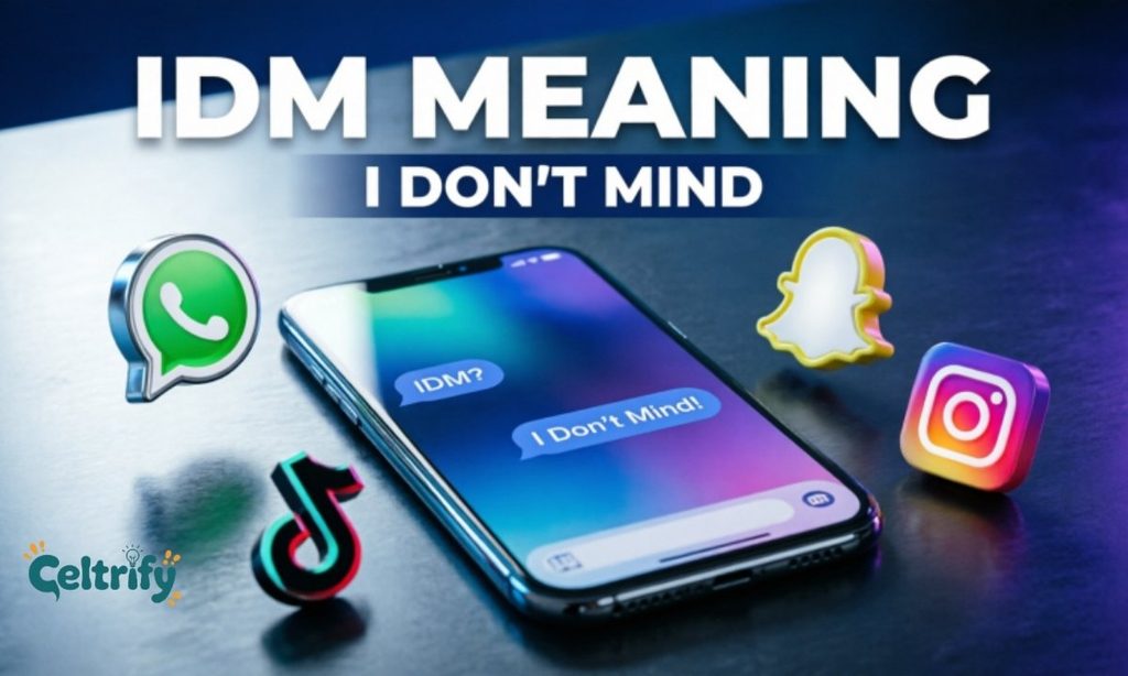 IDM Meaning on Different Platforms