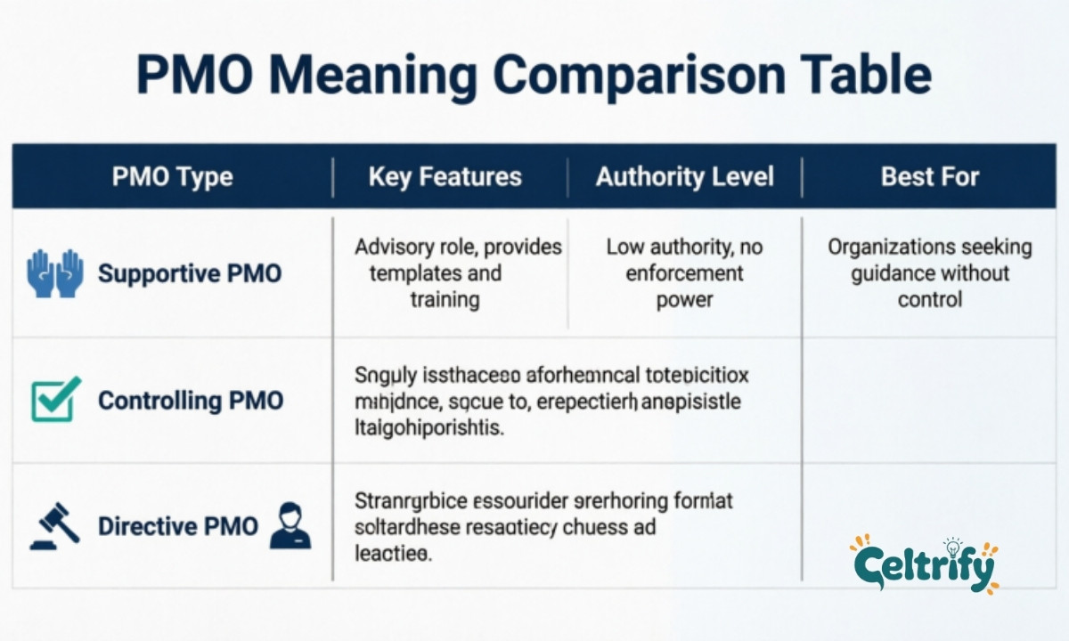 PMO Meaning Comparison Table