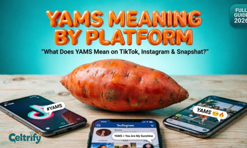 Yams Meaning by Platform